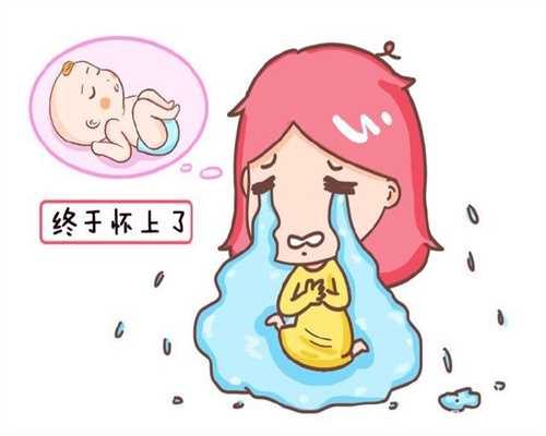 石家庄供卵助孕医院选择指南与试管婴儿成功率分析