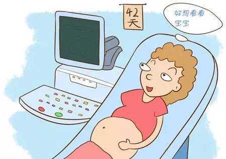 石家庄借卵生子价格与产假延长政策解析：女职工权益与辅助生殖选择