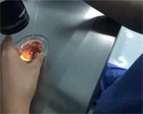 揭秘高成功率试管医院：专业团队与先进技术助您圆梦